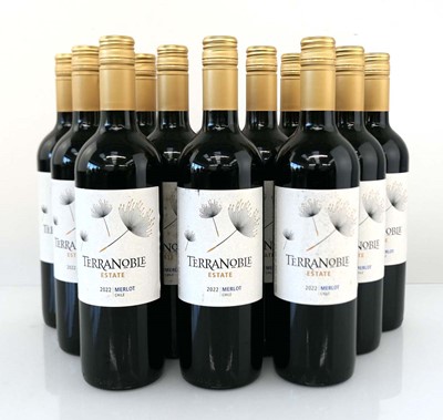 Lot 369 - 12 bottles of Terranoble Estate 2022 Merlot...