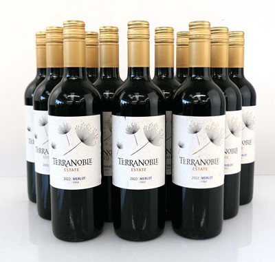 Lot 370 - 12 bottles of Terranoble Estate 2022 Merlot...