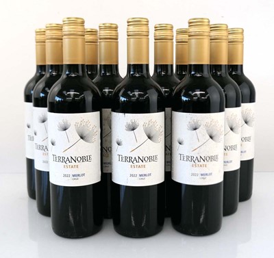 Lot 371 - 12 bottles of Terranoble Estate 2022 Merlot...