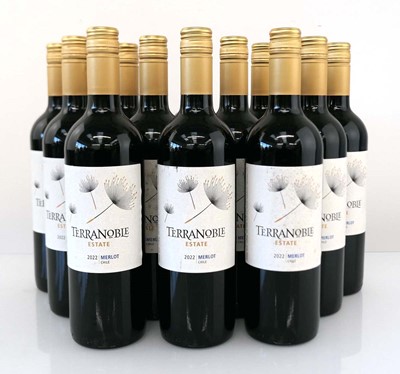 Lot 372 - 12 bottles of Terranoble Estate 2022 Merlot...