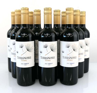 Lot 373 - 12 bottles of Terranoble Estate 2022 Merlot...