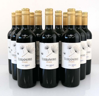 Lot 374 - 12 bottles of Terranoble Estate 2022 Merlot...