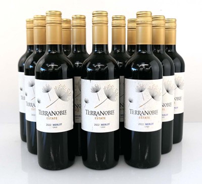 Lot 375 - 12 bottles of Terranoble Estate 2022 Merlot...