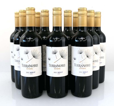 Lot 376 - 12 bottles of Terranoble Estate 2022 Merlot...