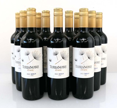 Lot 377 - 12 bottles of Terranoble Estate 2022 Merlot...