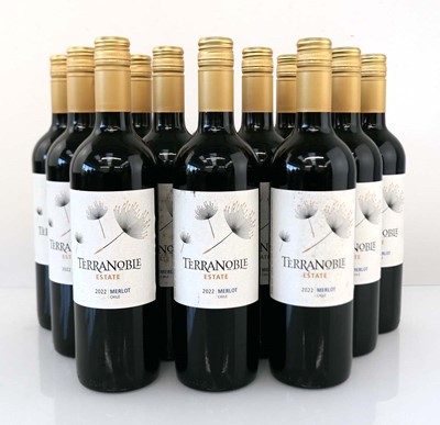 Lot 378 - 12 bottles of Terranoble Estate 2022 Merlot...