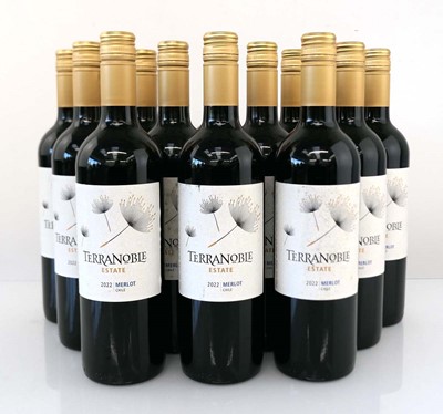 Lot 379 - 12 bottles of Terranoble Estate 2022 Merlot...