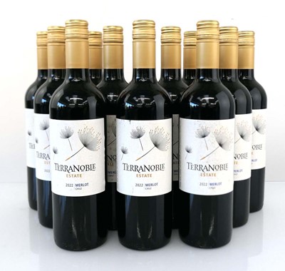 Lot 380 - 12 bottles of Terranoble Estate 2022 Merlot...
