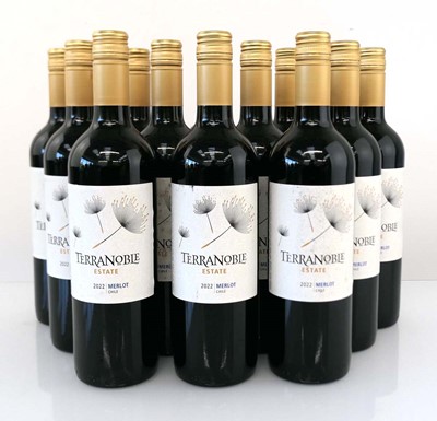 Lot 381 - 12 bottles of Terranoble Estate 2022 Merlot...