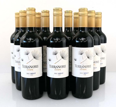 Lot 382 - 12 bottles of Terranoble Estate 2022 Merlot...