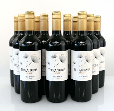 Lot 383 - 12 bottles of Terranoble Estate 2022 Merlot...