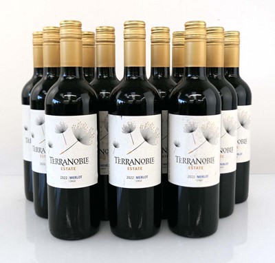 Lot 384 - 12 bottles of Terranoble Estate 2022 Merlot...