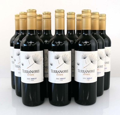 Lot 386 - 12 bottles of Terranoble Estate 2022 Merlot...