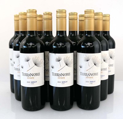 Lot 387 - 12 bottles of Terranoble Estate 2022 Merlot...