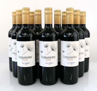 Lot 388 - 12 bottles of Terranoble Estate 2022 Merlot...