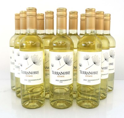 Lot 389 - 12 bottles of Terranoble Estate 2022 Sauvignon...