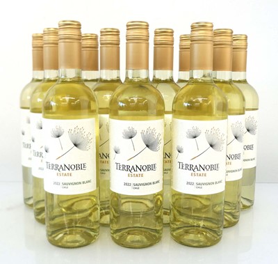 Lot 390 - 12 bottles of Terranoble Estate 2022 Sauvignon...