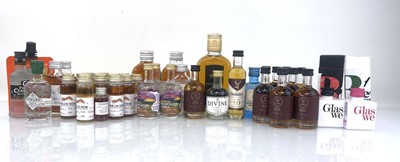 Lot 96 - approx 49 miniatures & small bottles of Gin,...