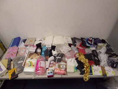 Lot 3502 - An assortment of notepads, fairy lights, dog...