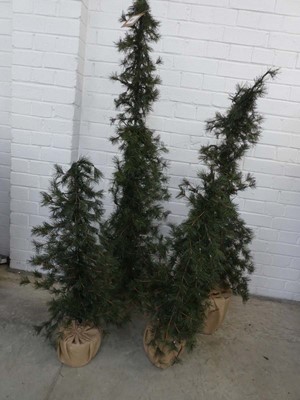 Lot Set of 4 alpine trees