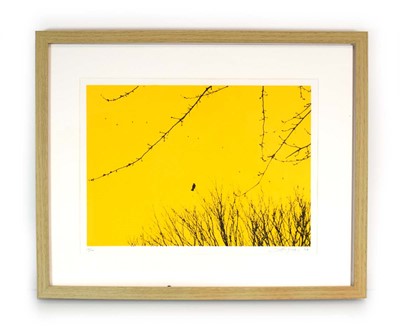 Lot 80 - Lene Bladbjerg (Danish, b. 1974), A bird...