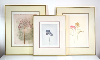 Lot 198 - John H... (contemporary), 'Sweet Pea', signed...