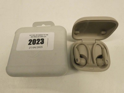 Lot 2023 - Powerbeats Pro 2 wireless earphones with box