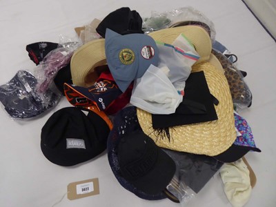 Lot 3622 - Selection of various hats