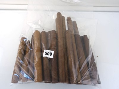 Lot 509 - Approx 40 large unbranded cigars