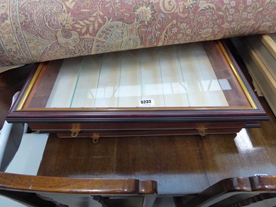 Lot 5232 - Pair of wall mounted display cabinets