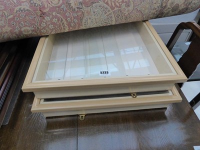 Lot 5233 - Pair of wall mounted display cabinets