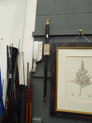 Lot 5407 - Two walking sticks with silver handles
