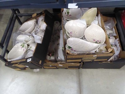 Lot 5607 - Under bay with 4 boxes containing Fuchsia...