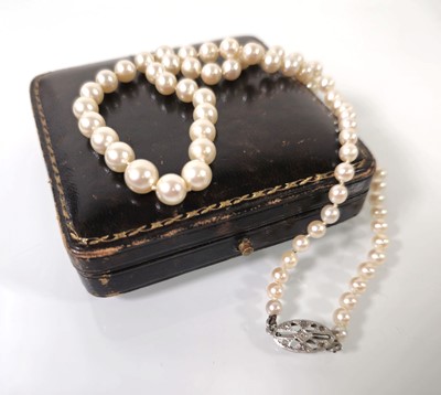 Lot 411 - An early 20th century string of cultured...