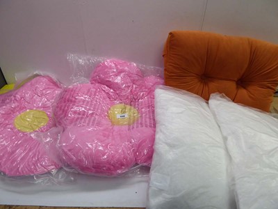 Lot 3566 - 2 pillows and 3 large cushions