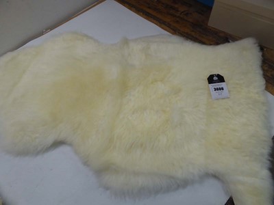 Lot 3600 - Sit on sheep skin rug