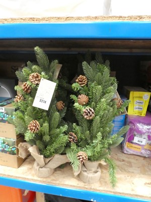 Lot 3274 - Quantity of 2ft pine Christmas trees