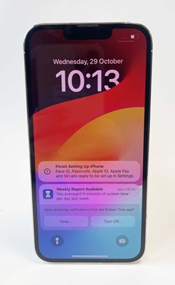 Lot iPhone 13 Pro 128GB Silver