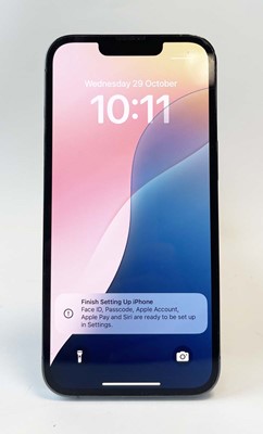 Lot iPhone 13 Pro 256GB Sierra Blue (screen cracked)