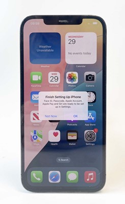 Lot iPhone 12 Pro Max 256GB Pacific Blue