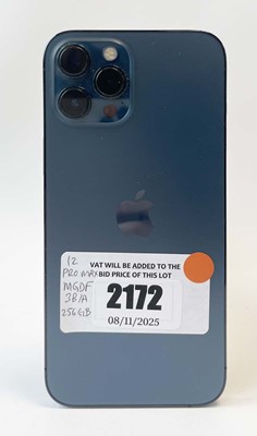 Lot iPhone 12 Pro Max 256GB Pacific Blue