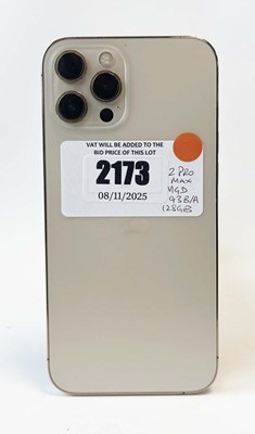 Lot iPhone 12 Pro Max 128GB Gold