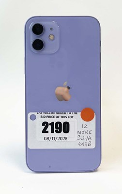 Lot iPhone 12 64GB Purple