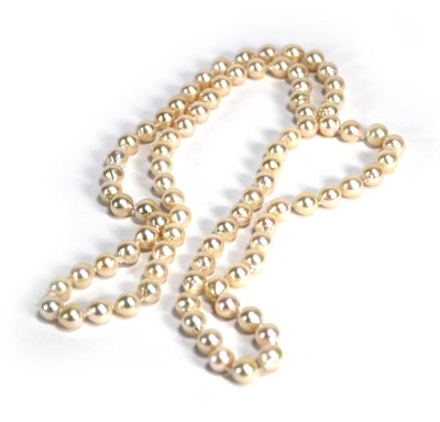 Lot 672 - A single strand continuous cultured pearl...