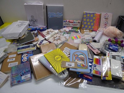 Lot 3506 - Large bag of art, craft and stationery