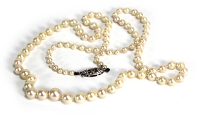 Lot 788 - A single strand graduated cultured pearl...