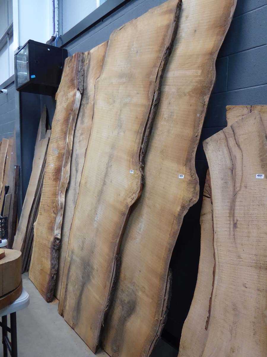 Lot 4223 - Large cedar of Lebanon waney edge board