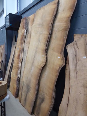 Lot 4223 - Large cedar of Lebanon waney edge board