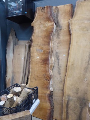 Lot 4225 - Large cedar of Lebanon Waney edge board