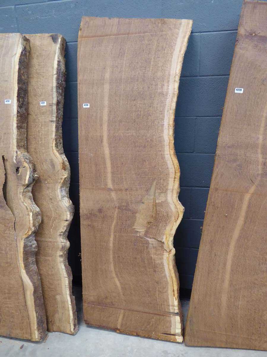 Lot 4230 - Brown oak waney edge board, approx. 500mm x...